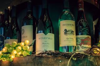 Vins de Bourgogne : grands crus, pinot noir et chardonnay