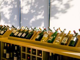 Oenotourisme : routes des vins et visites de domaines en France