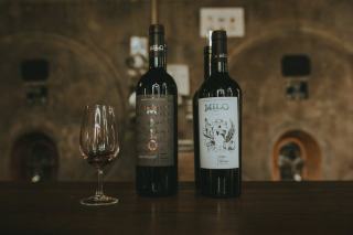 Vins du Languedoc : Pic Saint-Loup, Faugères et Minervois