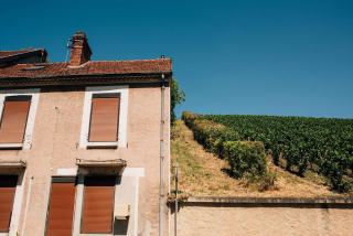 Acheter du vin en ligne sans se tromper de site ni de bouteille