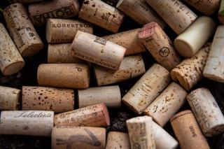 Goulots de bouteilles de vin fermés, l'un par un bouchon de liège, l'autre par une capsule à vis