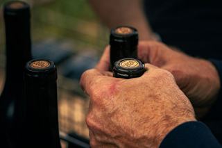 Goulots de bouteilles de vin fermés, l'un par un bouchon de liège, l'autre par une capsule à vis