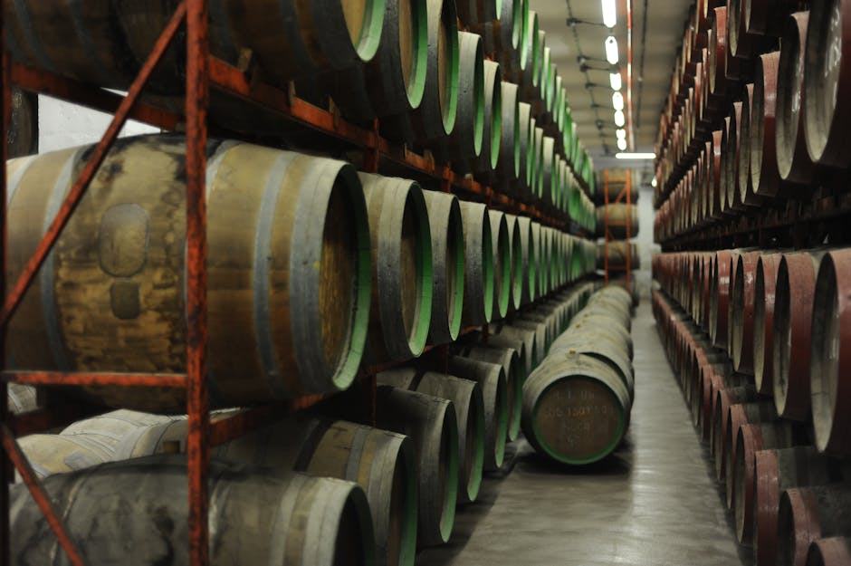 Cave à vin : conseils pour conserver et organiser vos bouteilles