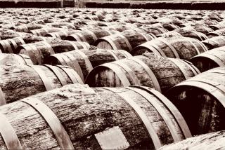 Vivre l'oenotourisme en France, des routes des vins aux chais