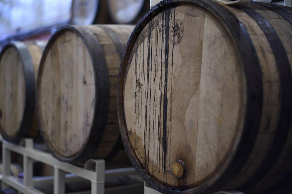 Régions viticoles de France : terroirs, cépages et appellations