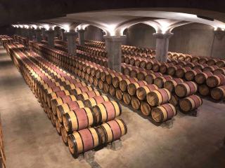 Quelle différence entre vin bio et vin naturel ?