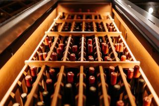 Vin bio et naturel : certifications, méthodes et différences
