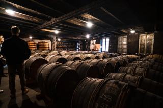 Vins d'Alsace : riesling, gewurztraminer et grands crus alsaciens