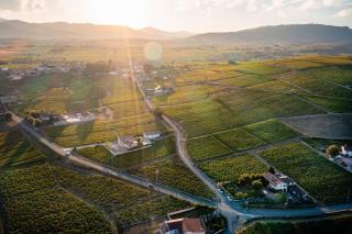 Vins du Languedoc, appellations, cépages et terroirs à connaître