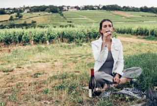 Vins du monde : Italie, Espagne, Nouveau Monde et découvertes