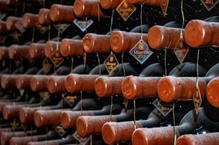 Vins de Provence : rosés, Bandol et appellations du Sud